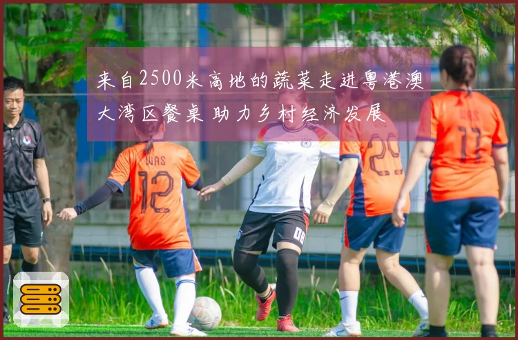 来自2500米高地的蔬菜走进粤港澳大湾区餐桌 助力乡村经济发展
